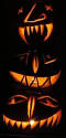 200px-Pumpkins2009.jpg