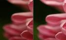 http://digital-photography-school.com/wp-content/iso-1-tm.jpg