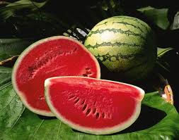هندوانه 1