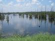 Black Lake (Louisiana) - Wikipedia, the free encyclopedia