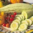 Seed Savers Exchange - Cucumber, Armenian