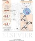 Aromatase Inhibitors: Anastrozole, Letrozole, and Exemestane ...