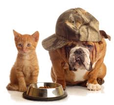 Bildergebnis für ‫سگ واقی وکربه واقی‬‎