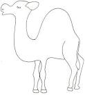 coloriage d'un DROMADAIRE - Tête à modeler
