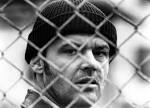 the cuckoo s nest desktop