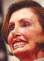 Speaker Pelosi's Pork House,