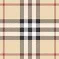 http://3.bp.blogspot.com/_BVY6TbsnAdc/ShNbDMBxuDI/AAAAAAAAAKA/ed9JsFkIPq8/s400/BurberryCheck.gif