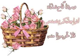 انيقات