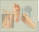 Evaluation and Prevention of Diabetic Neuropathy - June 1, 2005 ...