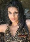 Shraddha Das Hot Indian Babe