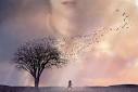 The Lovely Bones': So Bad, You Should Rent It - Benjamin Mercer ...