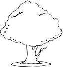 Trees coloring page