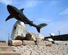 Lifesized sculpture of a shark - via Daymix