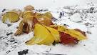 Nepal quake sends deadly avalanche into Everest climbers - CBS News
