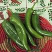 Anaheim Pepper - What you need to know