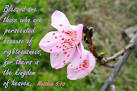 Inspirational Bible Verses Flickr   Photo Sharing
