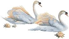 http://t1.gstatic.com/images?q=tbn:ANd9GcT7rTCqc-PJvu1CGLM-hc1SFR1eKY2ismFZwhkq5fTcndFJQQl4&t=1