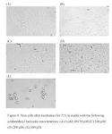 <b>Vero cells</b> with azidododecyl