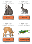 herbivores.jpg