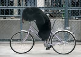 images?q=tbn:ANd9GcT8LOkwFeIvgbJxGVw4rSok0nkkHVoJ-ZFuSSbKqbP3HGL_gMF2