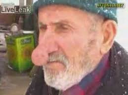 lea micheles nose fine wrong noses worried