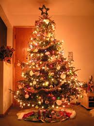 مجموعة صور لأجمل ـشجرة عيد الميلاد - صفحة 2 Images?q=tbn:ANd9GcT8U8f2X2MxcCU-1UBrTDoapGgQnJMKP8T2P5JPgyy4L7kzl_GDSA