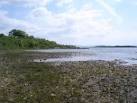 reedy at this spot, - via Daymix