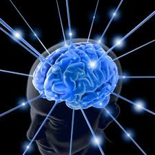 http://t1.gstatic.com/images?q=tbn:ANd9GcT8yaEHqrOLvIpR93L5K2Qz3RRWyFJ00nCl37sNYCEWVsKFdZ-u