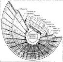 THE ANCIENT GREEK DRAMA &amp; THEATRE HISTORY PAGE