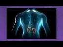 Renin Inhibitor