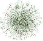 research Scope: neural network nature, complex networks , social ... 