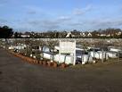 The Jewish cemetery, Hoop Lane - via Daymix