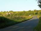 There is some dispute as to the name of this road. Most of the road maps - via Daymix