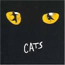 cats play