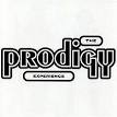 Experience (The Prodigy album) - Wikipedia, the free encyclopedia