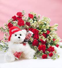 ����� ���� ������ ����� ���� images?q=tbn:ANd9GcTACBdWg1dumIzdPFw1XQ2aAVwbKJUl1xrxTlEORGznbfJ-KQjG