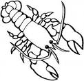 Lobster coloring page