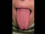 cara <b>lengua</b> manos