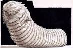 Leto Atreides II - Dune Wiki - Frank Herbert, David Lynch, Sandworms