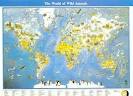 world wild animals pictures