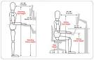 Classroom Ergonomics