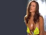 http://www.wallpaperpimper.com/wallpaper/Female_Celebrity/Kyla_Cole/Kyla-Cole-1-5TPBX5Y31N-1024x768.jpg
