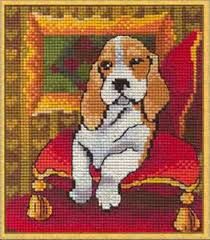 images?q=tbn:ANd9GcTAxR3DS30FvMxjVu8NOhjZO4HN5YyptCb25JqO_0yGpzU5InyK