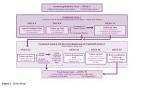 Fluorouracil Cream 0.5% for the Treatment of Actinic Keratoses on ...