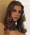 Picture of Bebe Buell