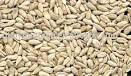 Sunflower seeds bird feed grade products,China Sunflower seeds ...