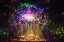 Phish Live