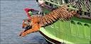 tiger jump