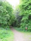 President Kennedy Driveway. Woodland track in Plean Country Park. - via Daymix