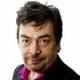 giornalista freelance